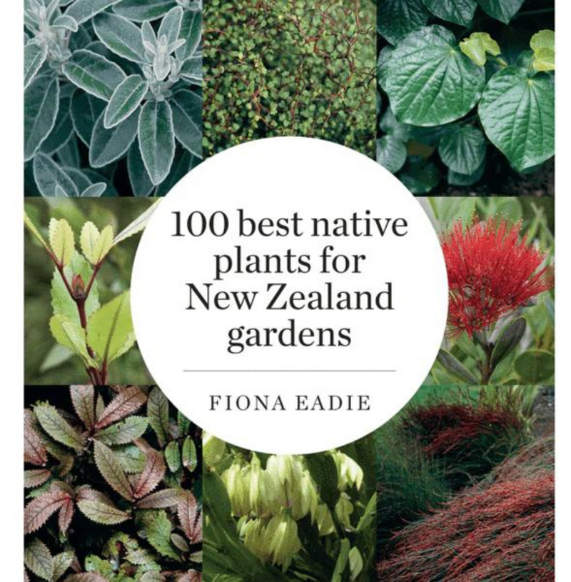 100 Best Native Plants for New Zealand Gardens