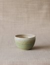 Galit Maxwell Nature Bowl