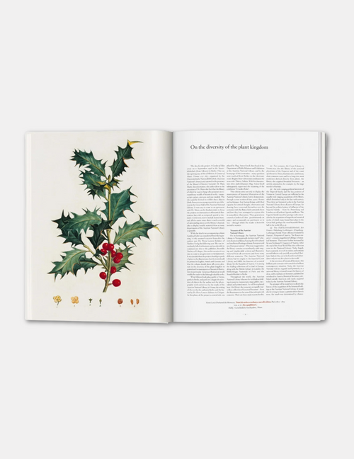 A Garden Eden: Masterpieces of Botanical Illustration