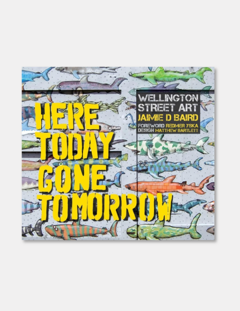 Here Today Gone Tomorrow: Wellington Street Art