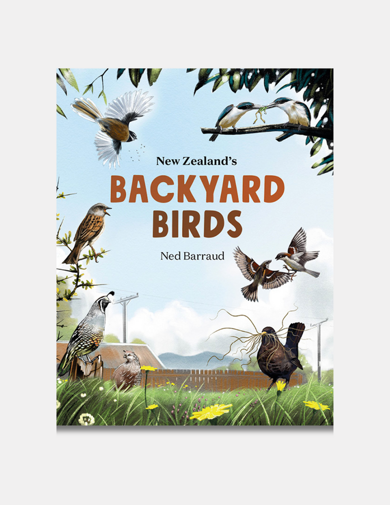 New Zealand's Backyard Birds