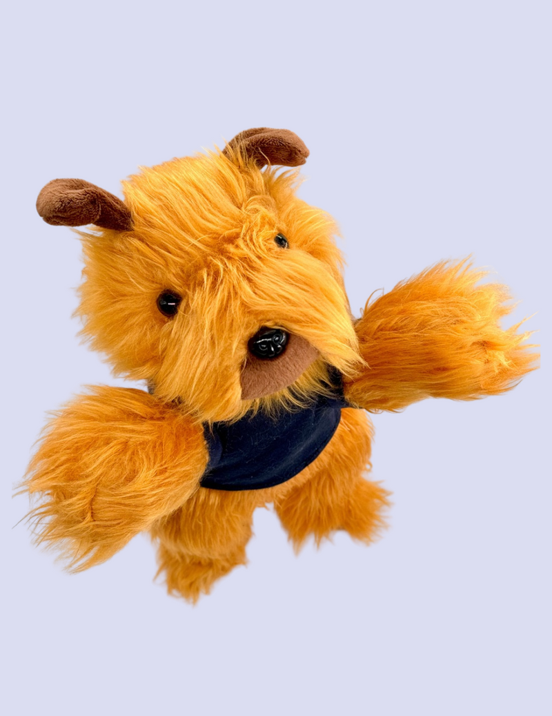 Paddy the Wanderer Soft Toy