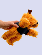 Paddy the Wanderer Soft Toy