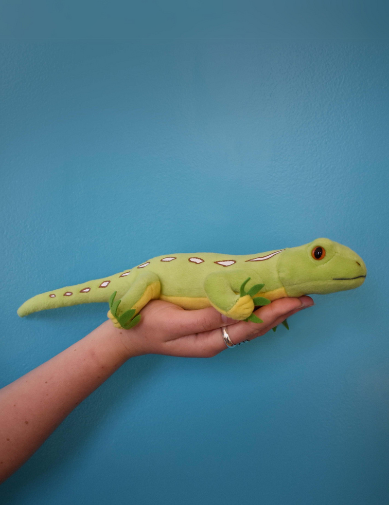 Wellington Green Gecko Soft Toy