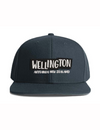 Wellington Sign Cap - Blue