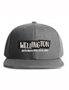 Wellington Sign Cap - Grey