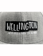 Wellington Sign Cap - Grey