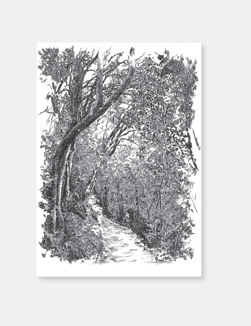 Zealandia Print A4 by Hannah Webster