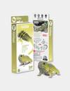 Tuatara 3D Cardboard Model Kit