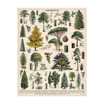 Arboretum Trees Vintage Puzzle 1000 Pieces