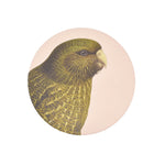 Blush Pink Kakapo Coaster