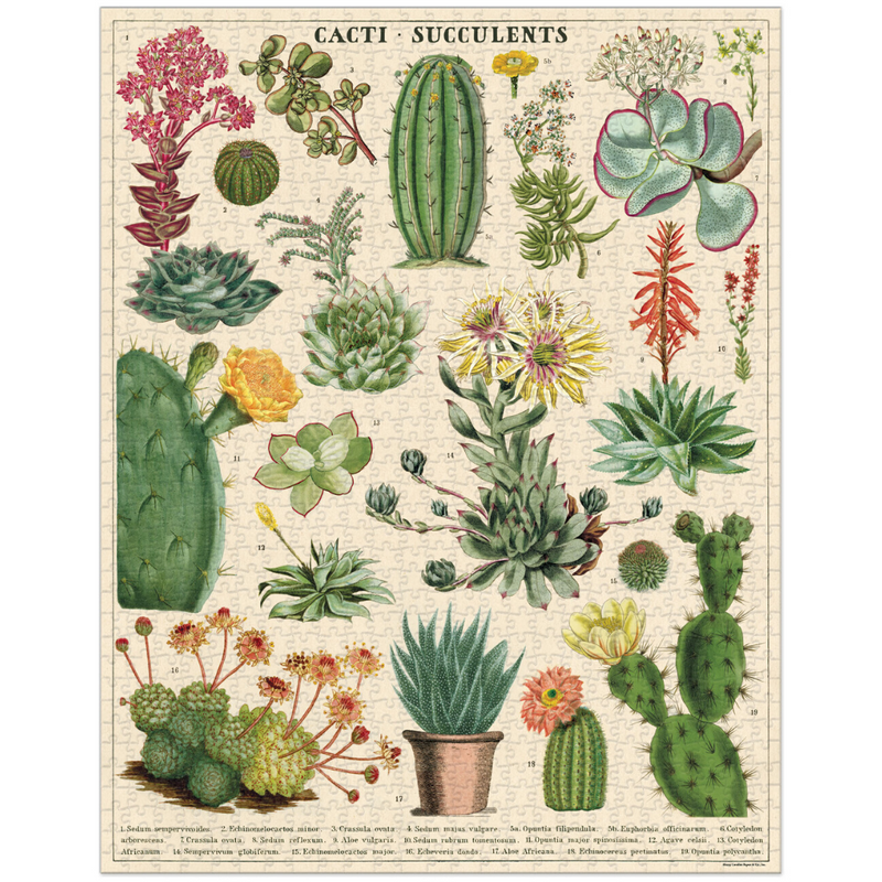 Cacti & Succulents Vintage Puzzle 1000 Pieces