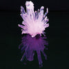 Growing Crystals Tube