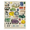 Mineralogy Vintage Puzzle 1000 Pieces