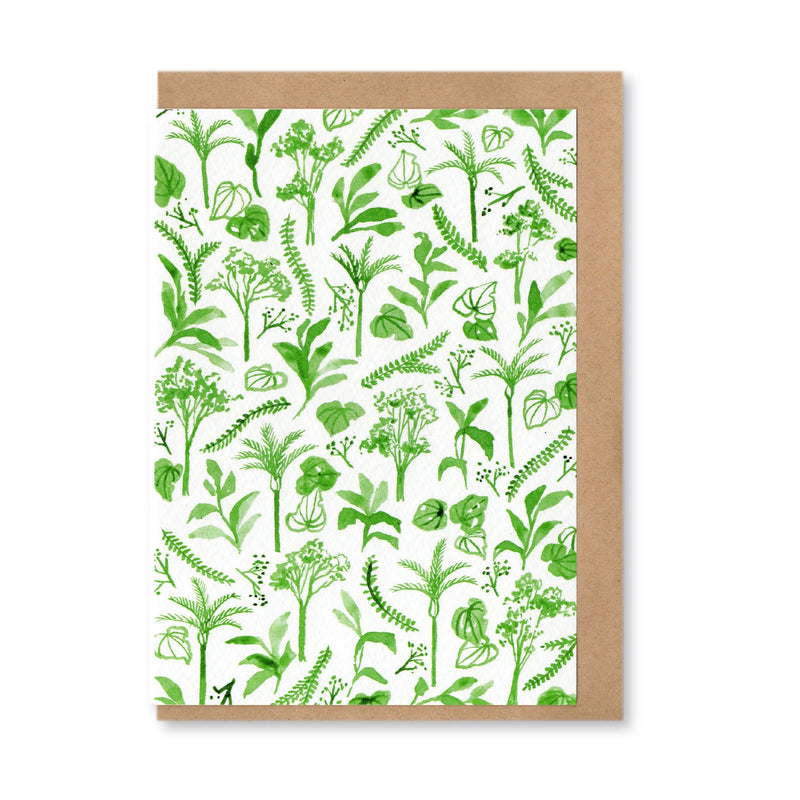NZ Plants Card by Hannah Webster