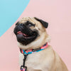 Dog Collar - Pink Print